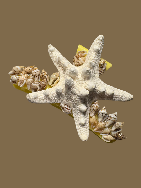 🎀🐚 Mermaid Claw Clamps 🐚🎀