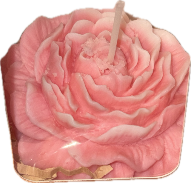 PEONY CANDLE - LARGE - low temp - 100% soy wax - 3" diameter